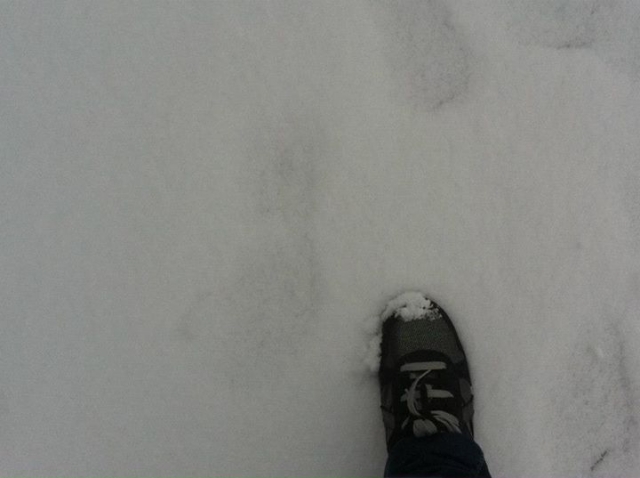 Excursiones en raquetas de nieve en Andorra